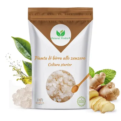 Bustina di ginger beer plant Natural Probio