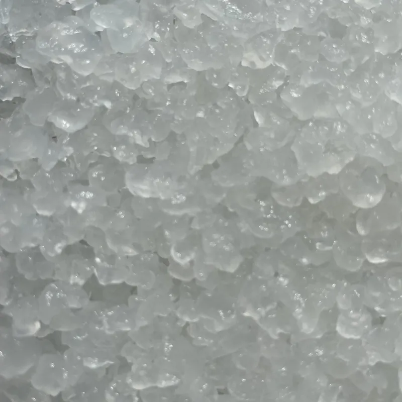 Granuli di kefir d'acqua