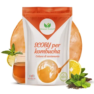 Bustina con uno SCOBY di kombucha vivo Natural Probio