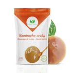 SCOBY di Kombucha Vivo — Natural Probio